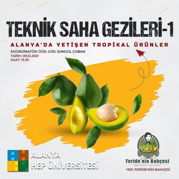 Tropical Products Grown in Alanya - Technical Field Trips-1