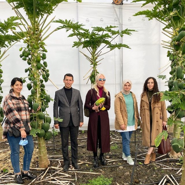 Alanya Avokado Üreticileri Birliği Başkanı Hilmi SEVİLGEN ile Bahçe Gezisi